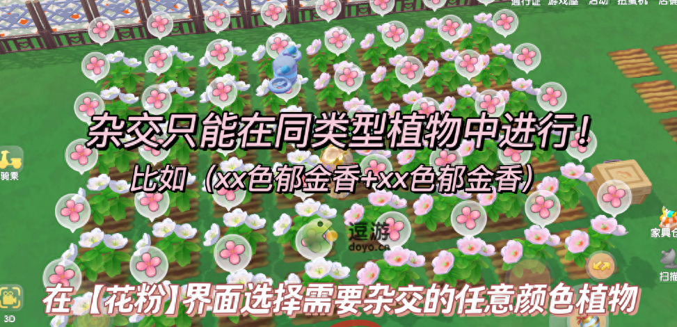 摩尔庄园花卉授粉攻略 摩尔庄园花卉怎么授粉