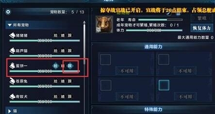 《天涯明月刀》宠物跟随方法攻略 宠物怎样跟随