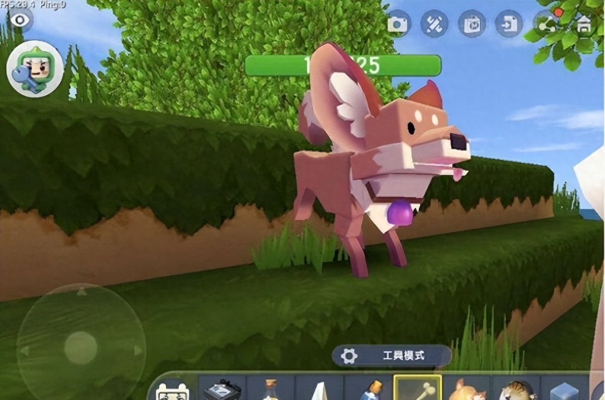 《迷你世界》狐狸怎样快速驯服 驯服狐狸方法攻略