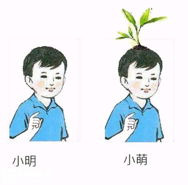 英雄联盟推荐半肉皎月？胜率极高？攻略如下