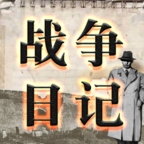 战争日记极速安卓版