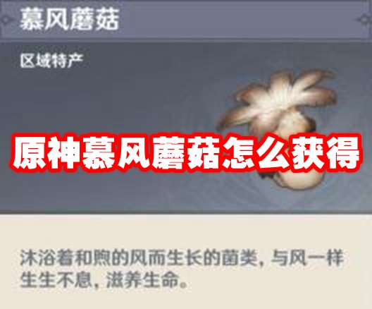 原神慕风蘑菇怎么获得