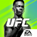 UFC终极格斗冠军2亚洲版