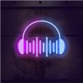 睿星音乐app老版本下载