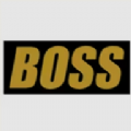 boss视频旧版本大全