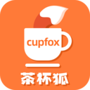 cupfox茶杯狐官网下载