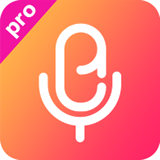 录音Pro2019版下载