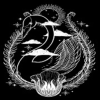 天鹅影视旧版本安装包